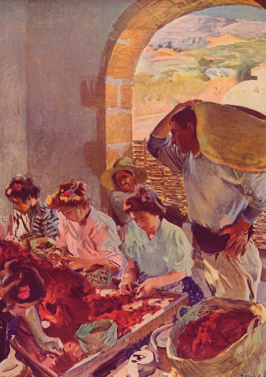 Příprava suchých hroznů, 1890, c1932 od Joaquín Sorolla