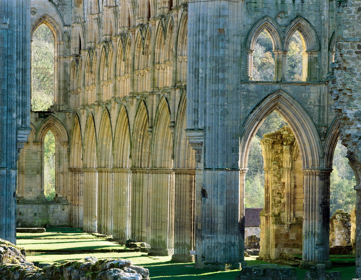 Opatství Rievaulx, c1990-2010 od Joe Cornish