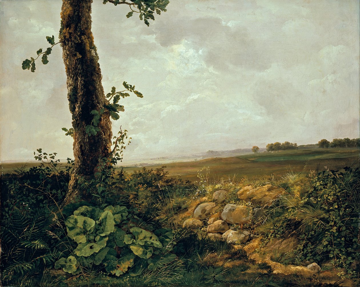 Pohled poblíž Prestø od Johan Christian Dahl
