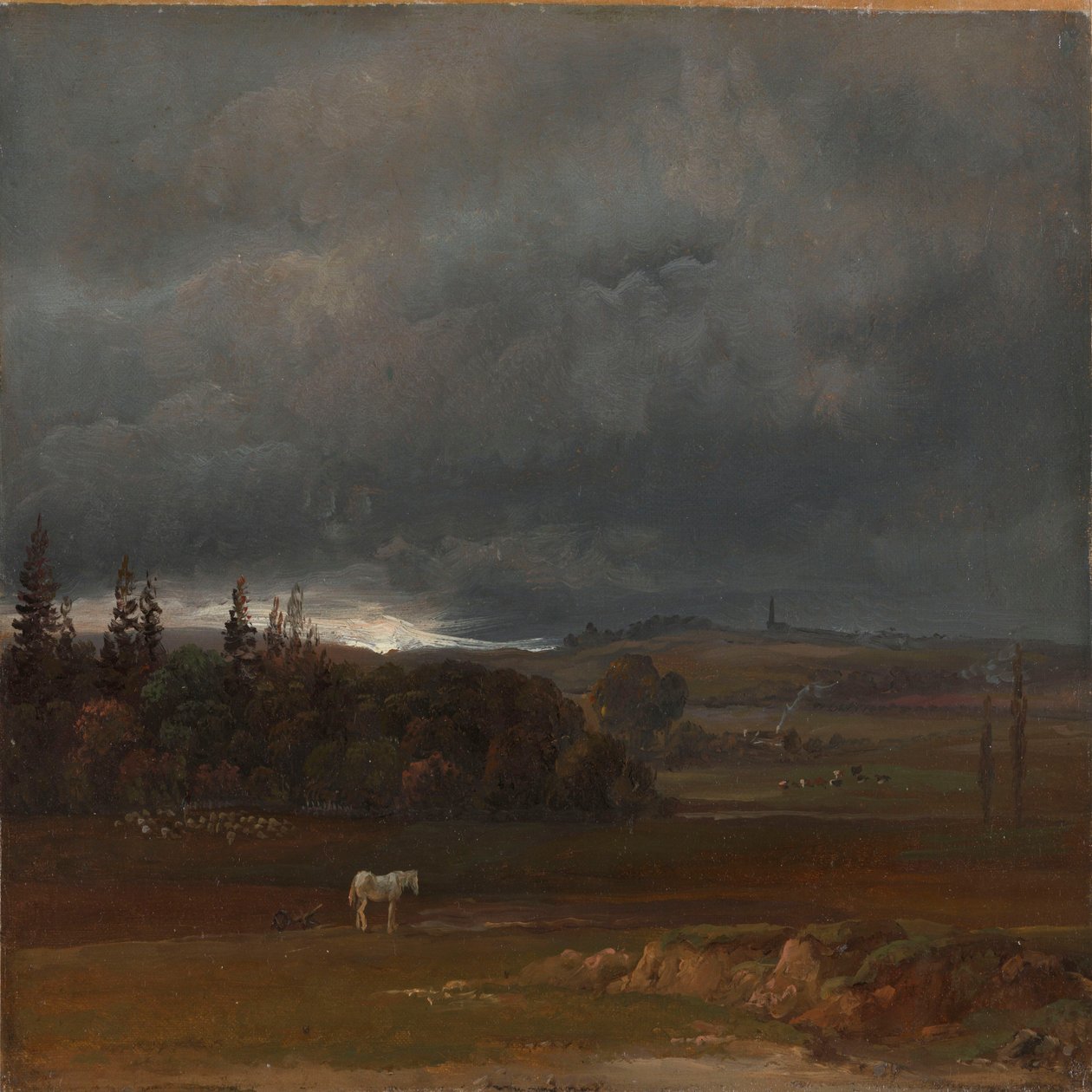 Pole u Drážďan s bílým koněm od Johan Christian Dahl