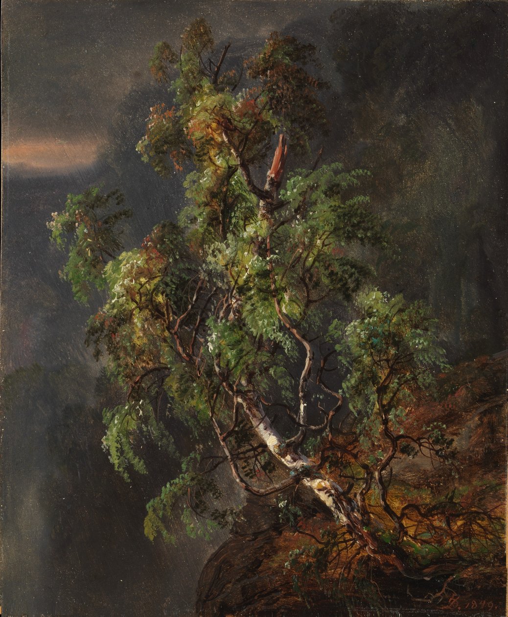 Bříza v bouři od Johan Christian Dahl