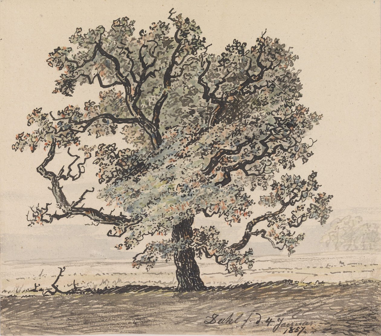 Borovice na pláni od Johan Christian Dahl