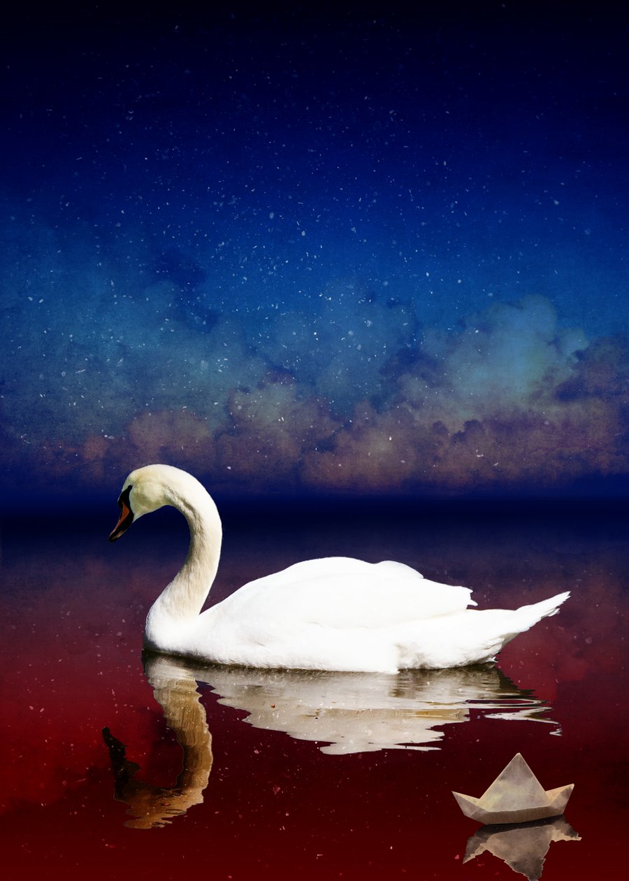 Ptačí království 4, 2018 (digitální fotoart) od Johan Lilja