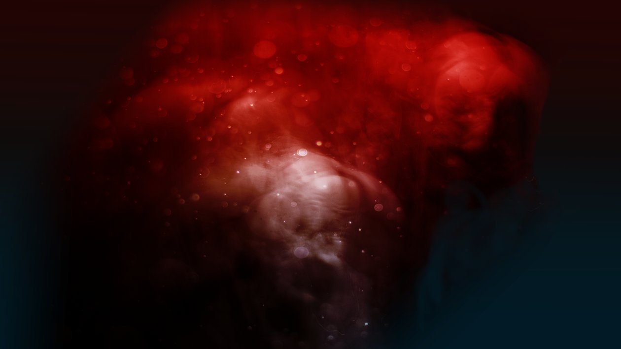 Bloodline The ugly, 2019 (fotografie) od Johan Lilja