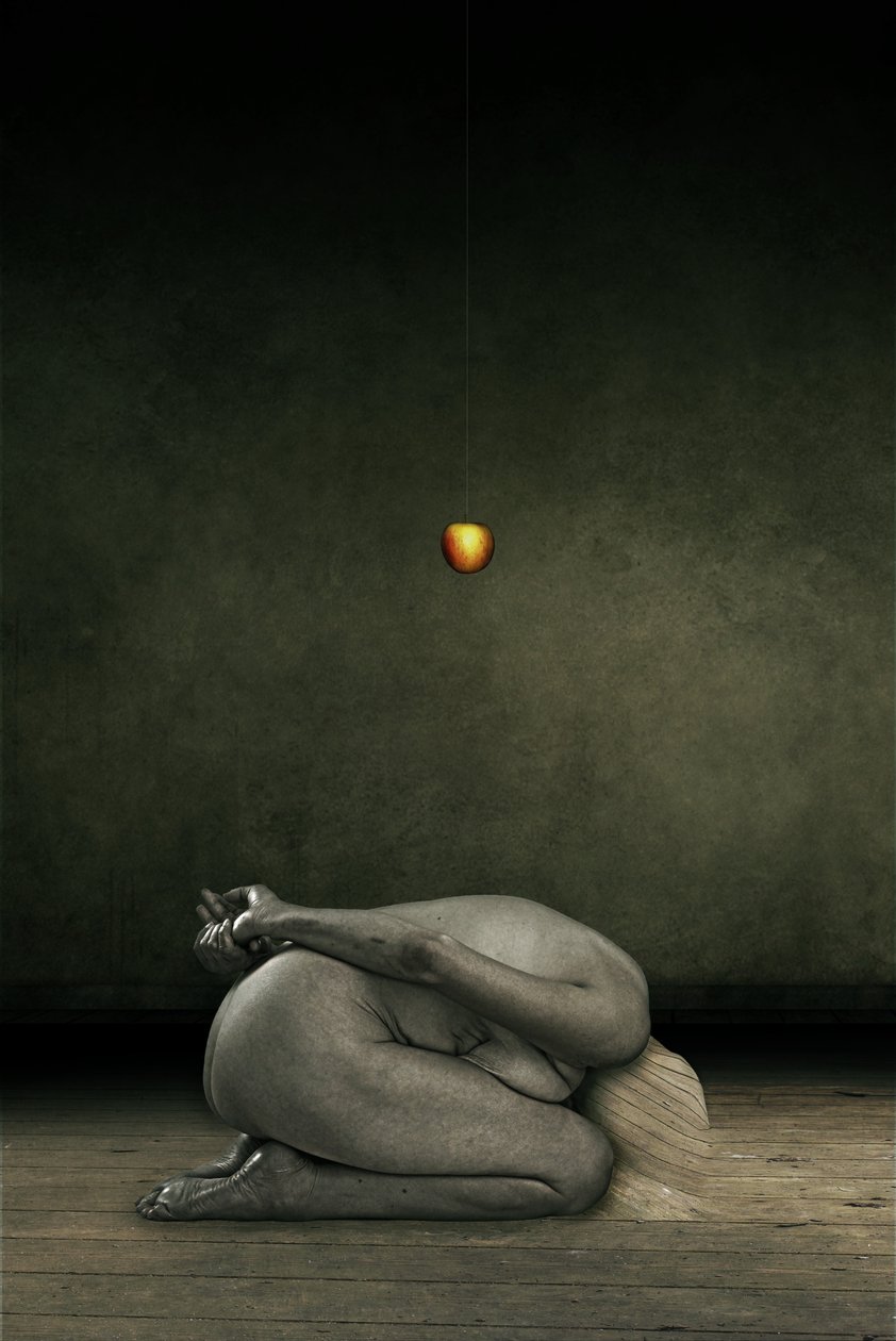 Hide my self, 2013 (manipulace s fotografiemi) od Johan Lilja