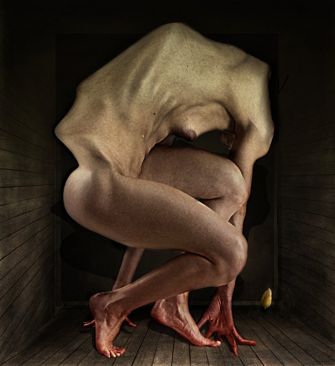 Hanba, 2012 (fotografie) od Johan Lilja