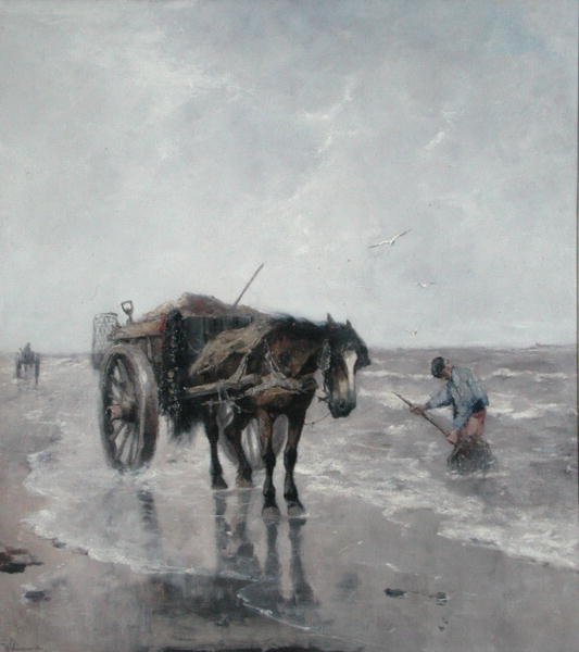 Sea Breezes (olej na plátně) od Johan Scherrewitz