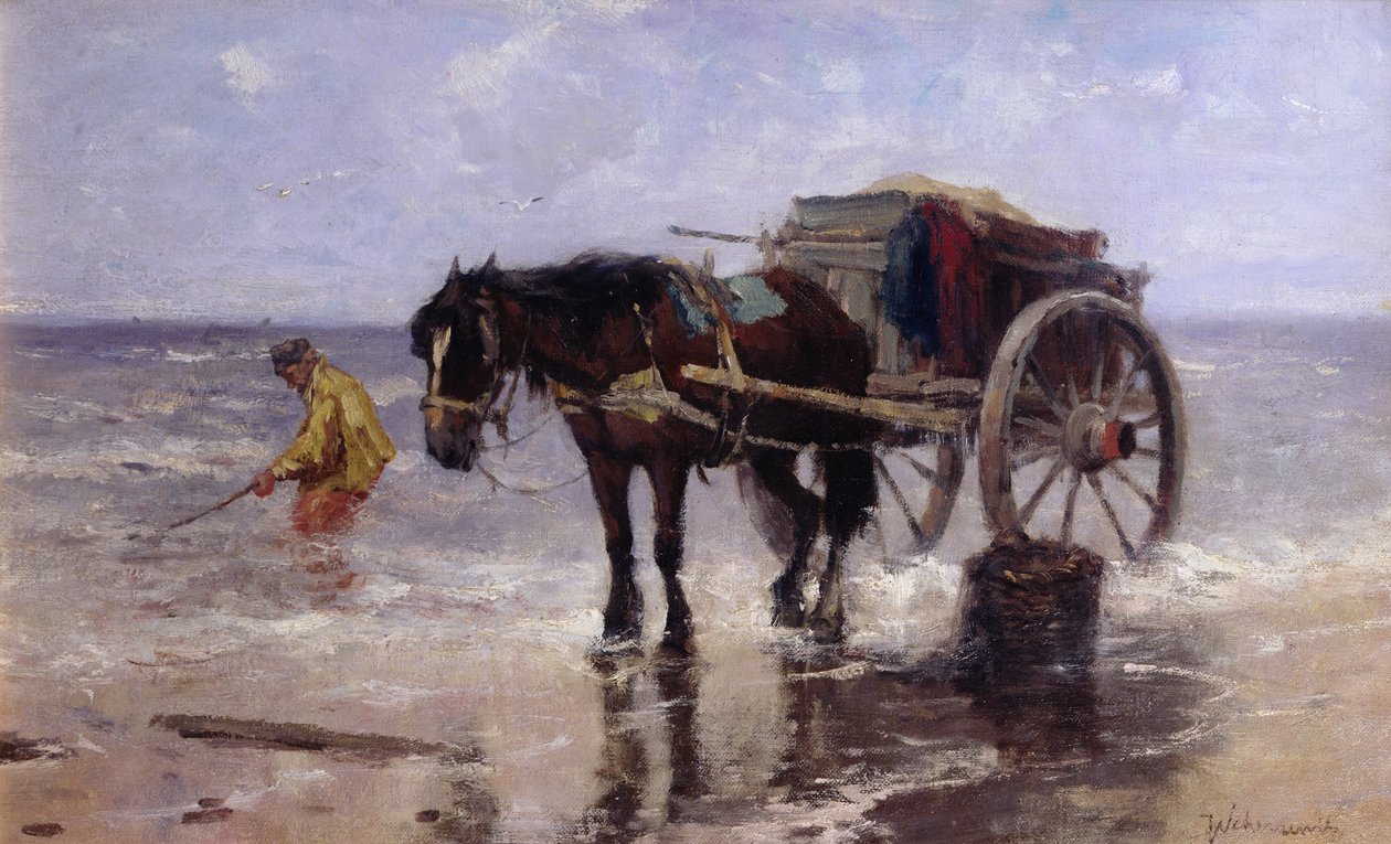 The Clam Gatherer (olej na plátně) od Johan Scherrewitz