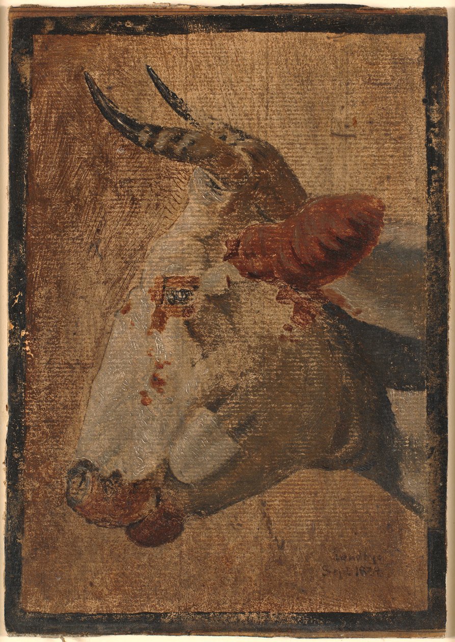 Hlava bílé strakaté krávy, profil vlevo od Johan Thomas Lundbye