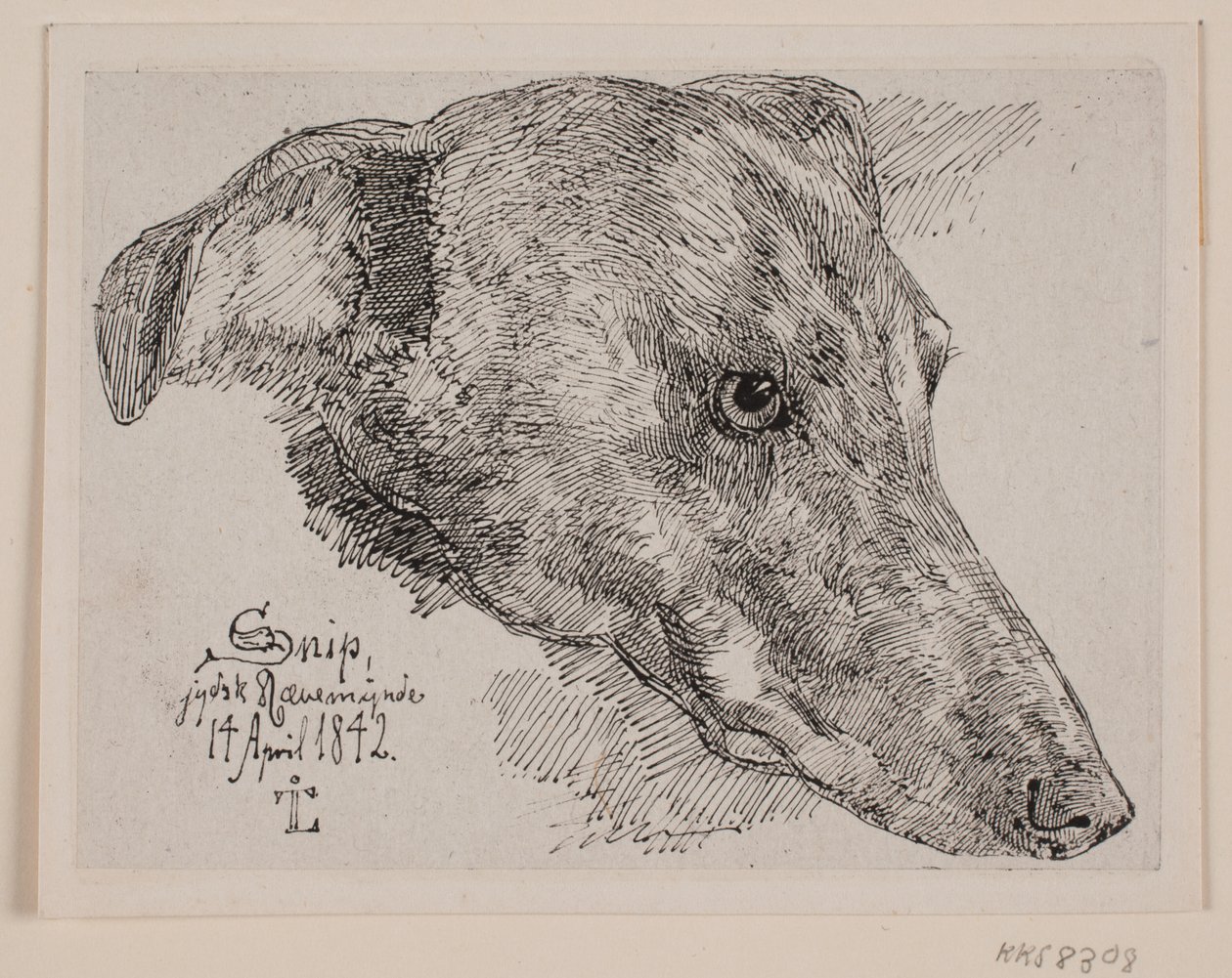 Hundehoved, Snipe od Johan Thomas Lundbye