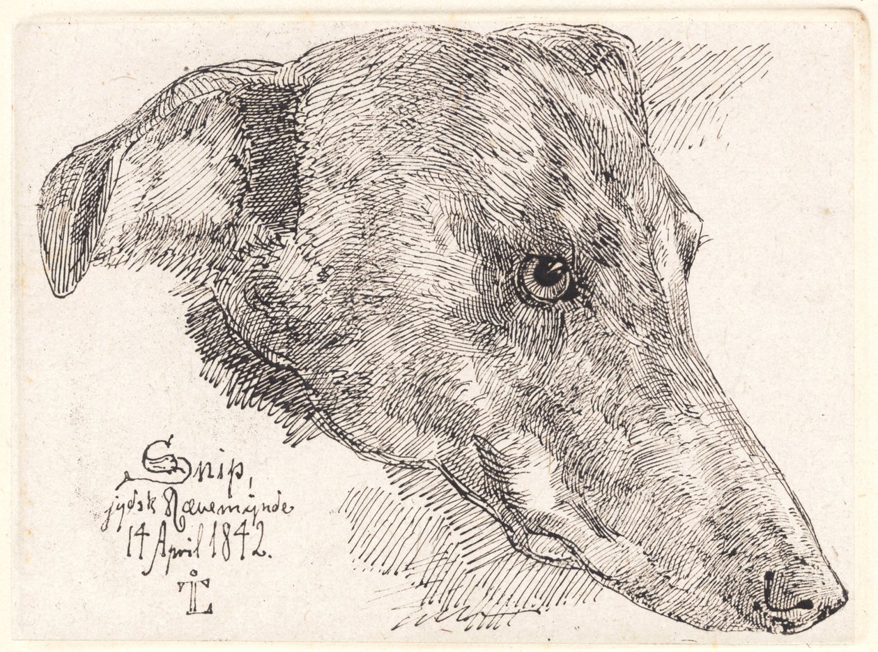 Hundehoved, Snipe od Johan Thomas Lundbye
