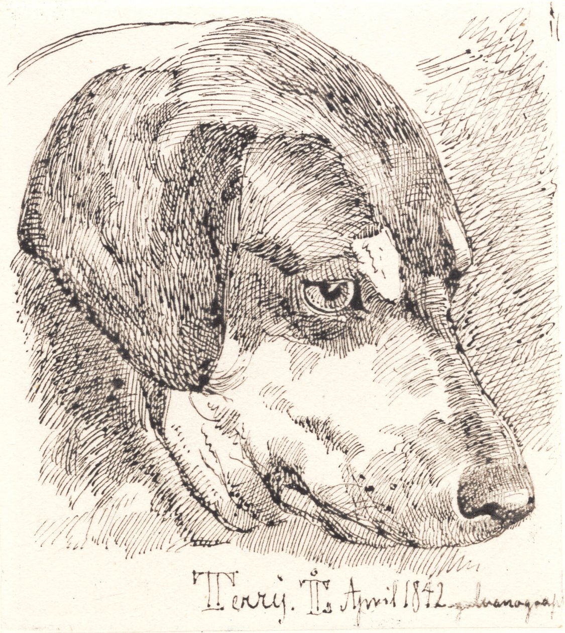 Hundehoved, Terry od Johan Thomas Lundbye