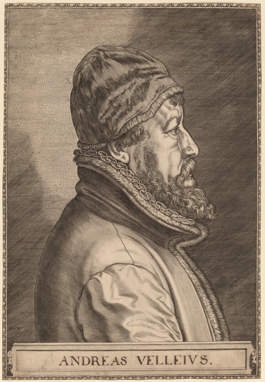 Andreas Velleius (Anders Sorensen Vedel) od Johan Wierix