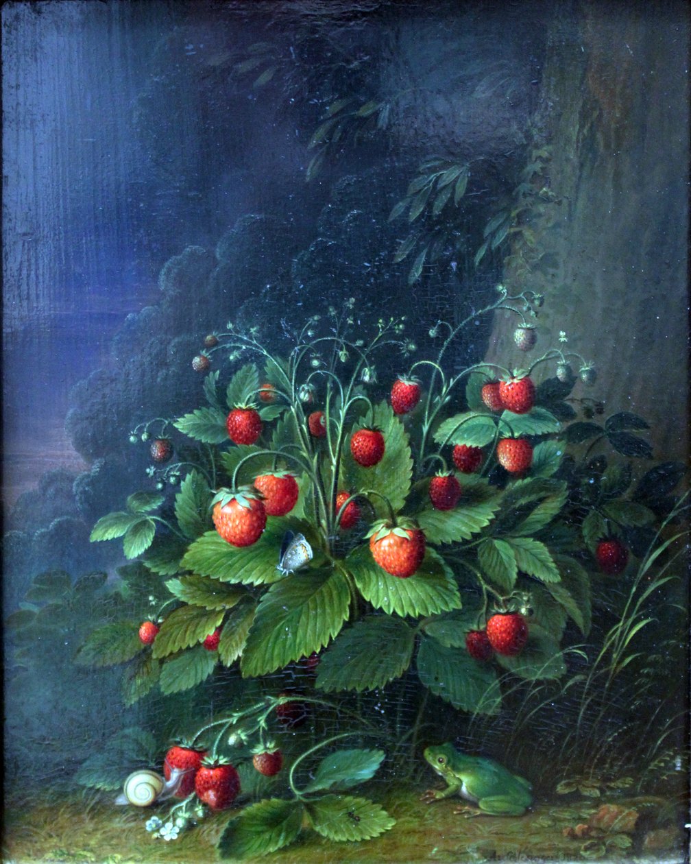 Jahody od Johann Adam Schlesinger