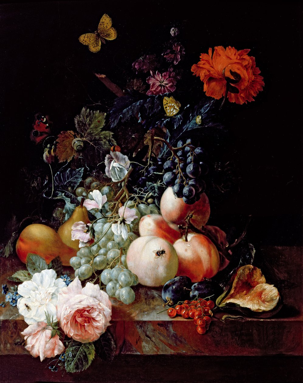 Stálý život od Johann Amandus Winck