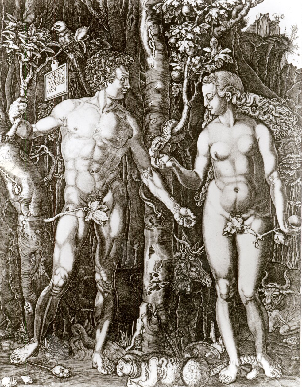 Adam a Eva podle Albrechta Durera (1471-1528) od Johann Ladenspelder