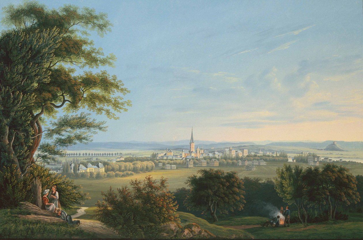 Pohled na město Vevay a jeho okolí od Johann Ludwig Bleuler