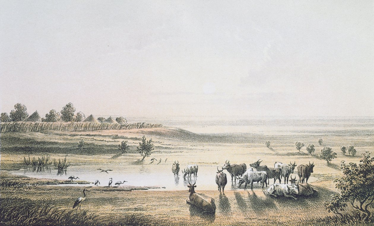 Hranice Čadu v roce 1851, z „Cesty a objevy v severní a střední Africe“ od Heinricha Bartha, vyryto J. Woelfjlem, vydáno 1857 (barevná rytina) od Johann Martin Bernatz