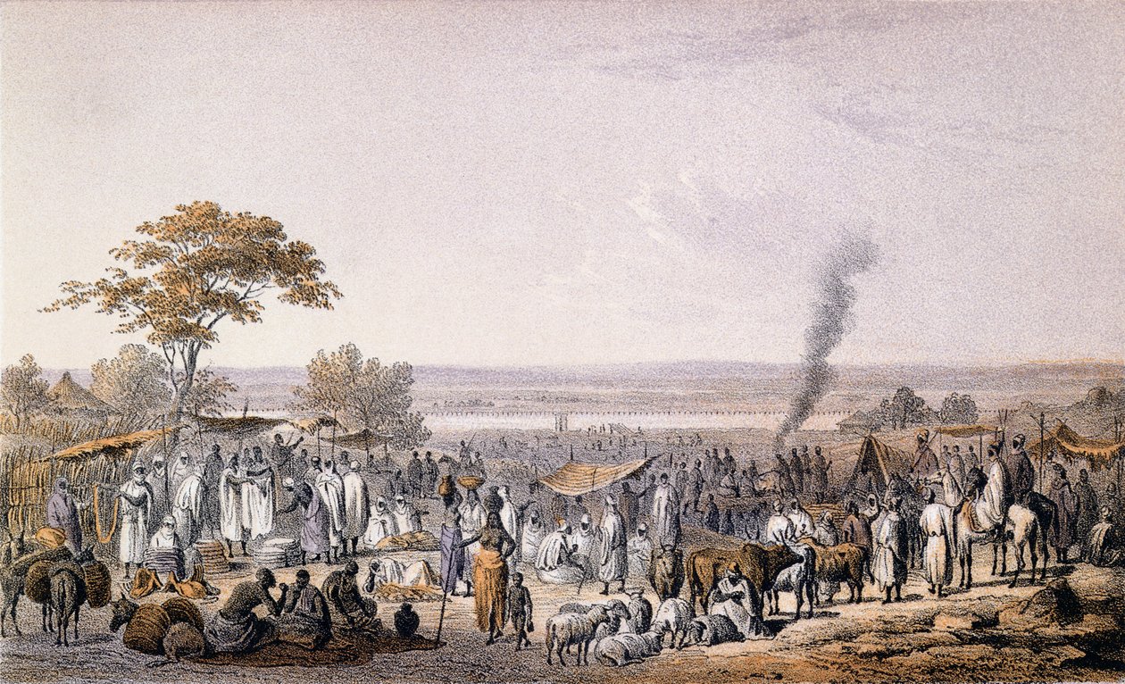 Trh v Sokotu v roce 1853, z „Cesty a objevy v severní a střední Africe“ od Heinricha Bartha (1821-65), vyryto Eberhardem Emmingerem (1808-85), vydáno 1857 (barevná rytina) od Johann Martin Bernatz