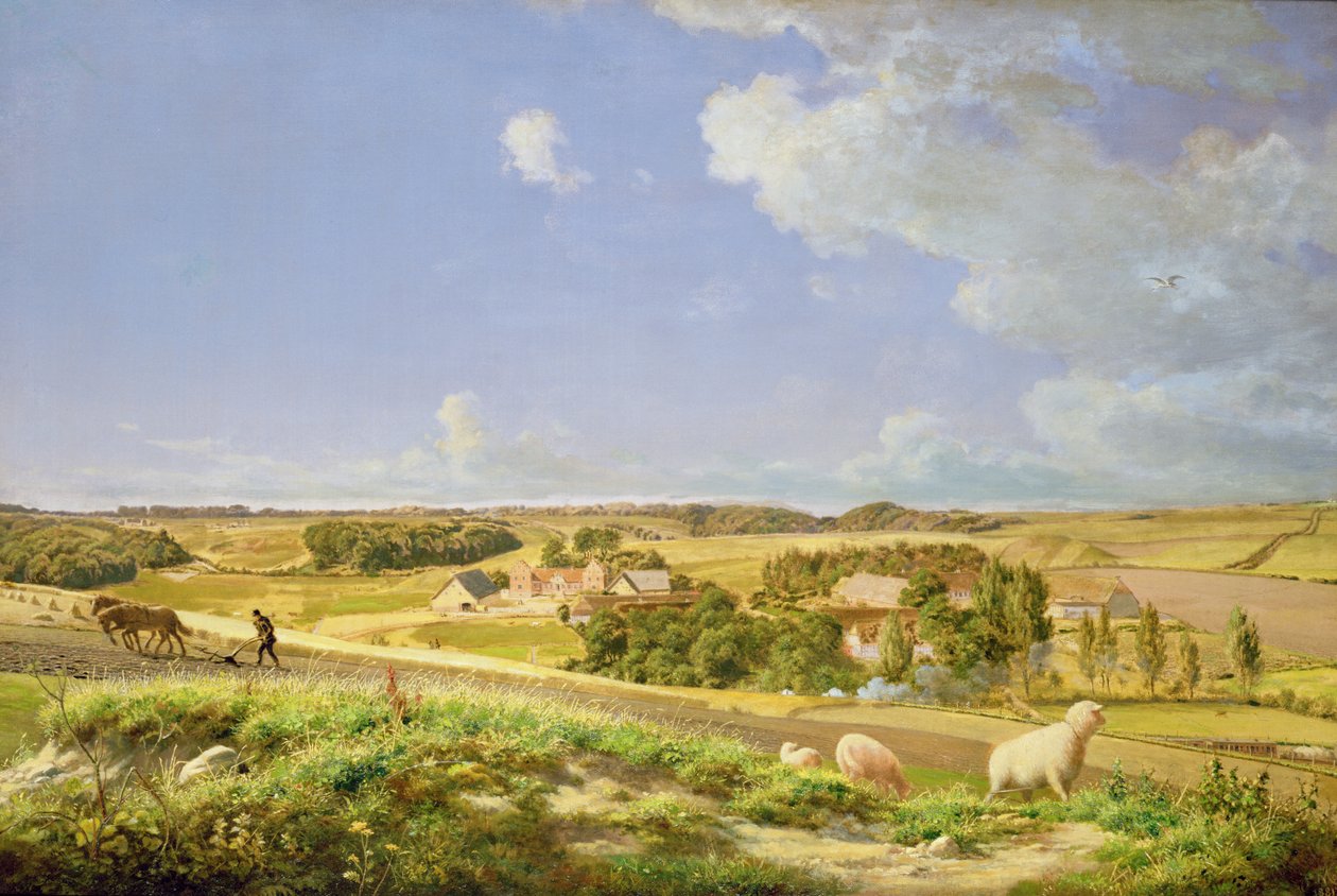 Zalesněná krajina od Johan Frederick Moller