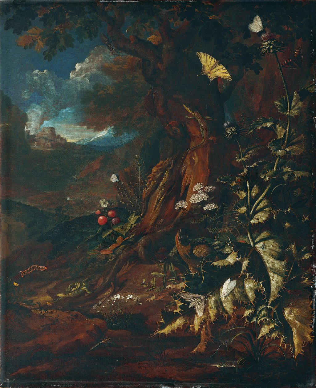 Krajina s plazy a hmyzem (I) od Johann Adalbert Angermayer