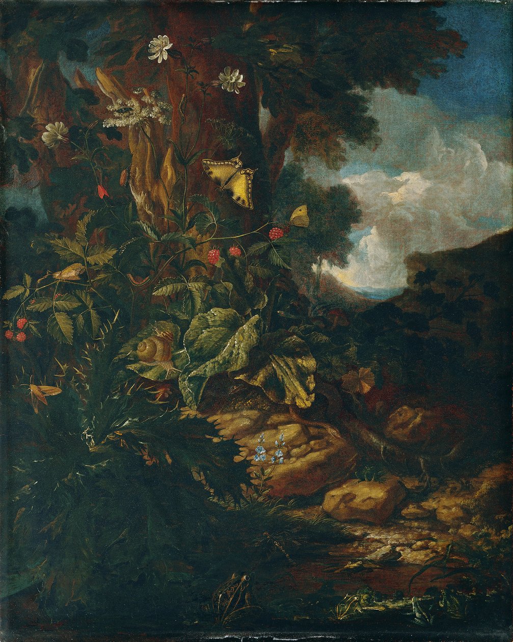 Krajina s plazy a hmyzem (II) od Johann Adalbert Angermayer