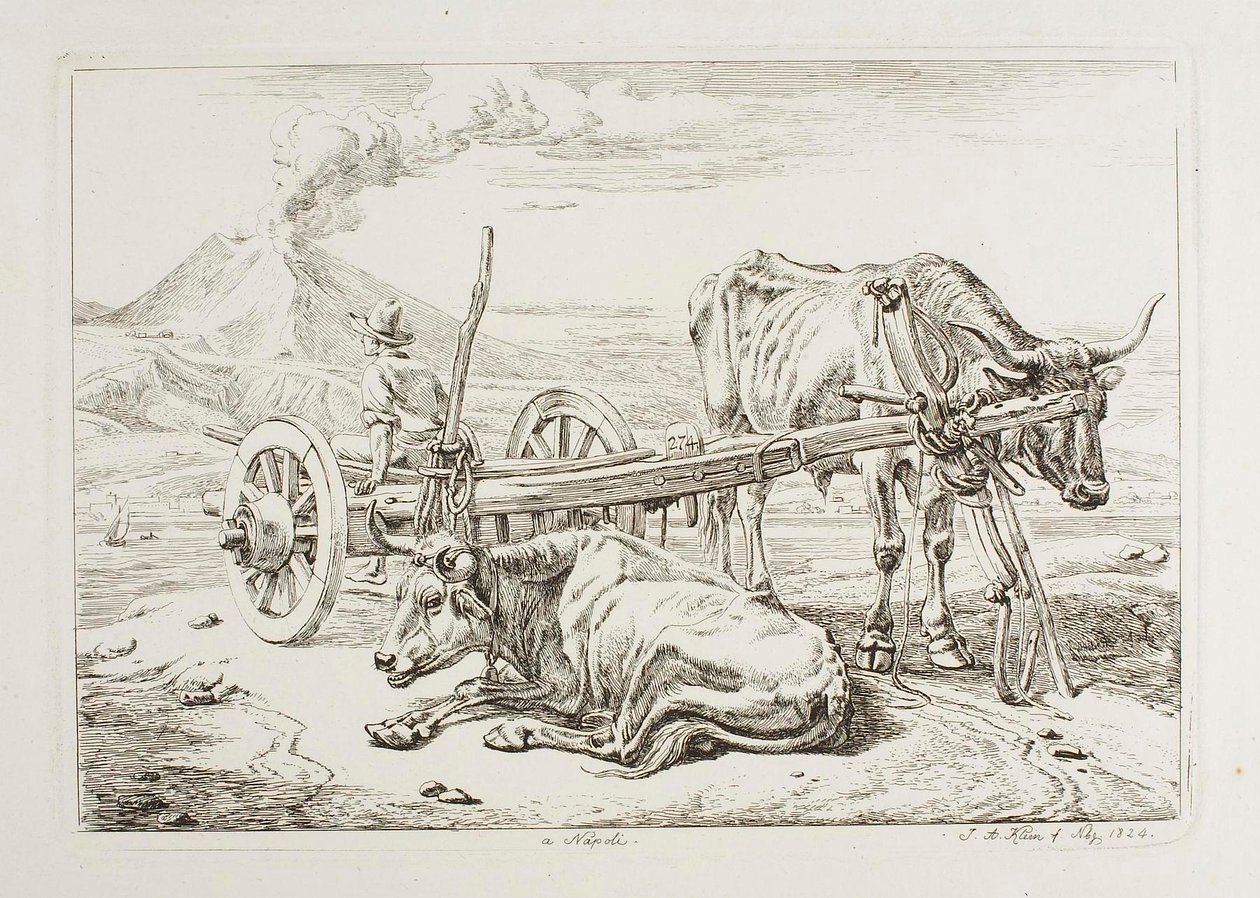 V Neapoli (voli a vůz v Neapoli) od Johann Adam Klein