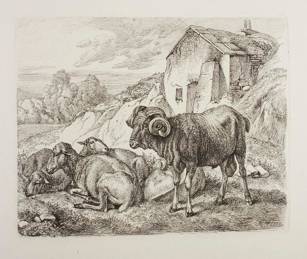 Beran a ovce za domem od Johann Adam Klein