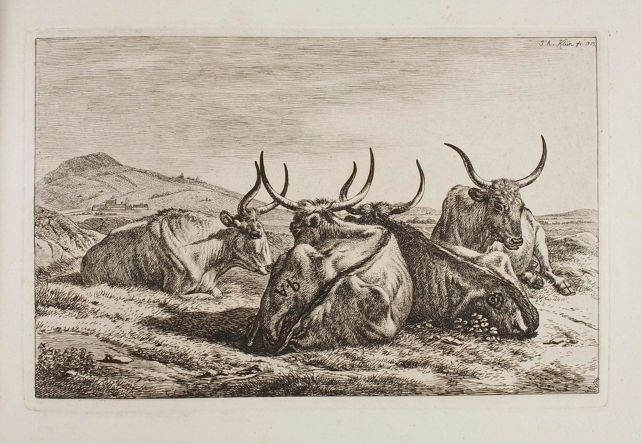 Ležící voli od Johann Adam Klein