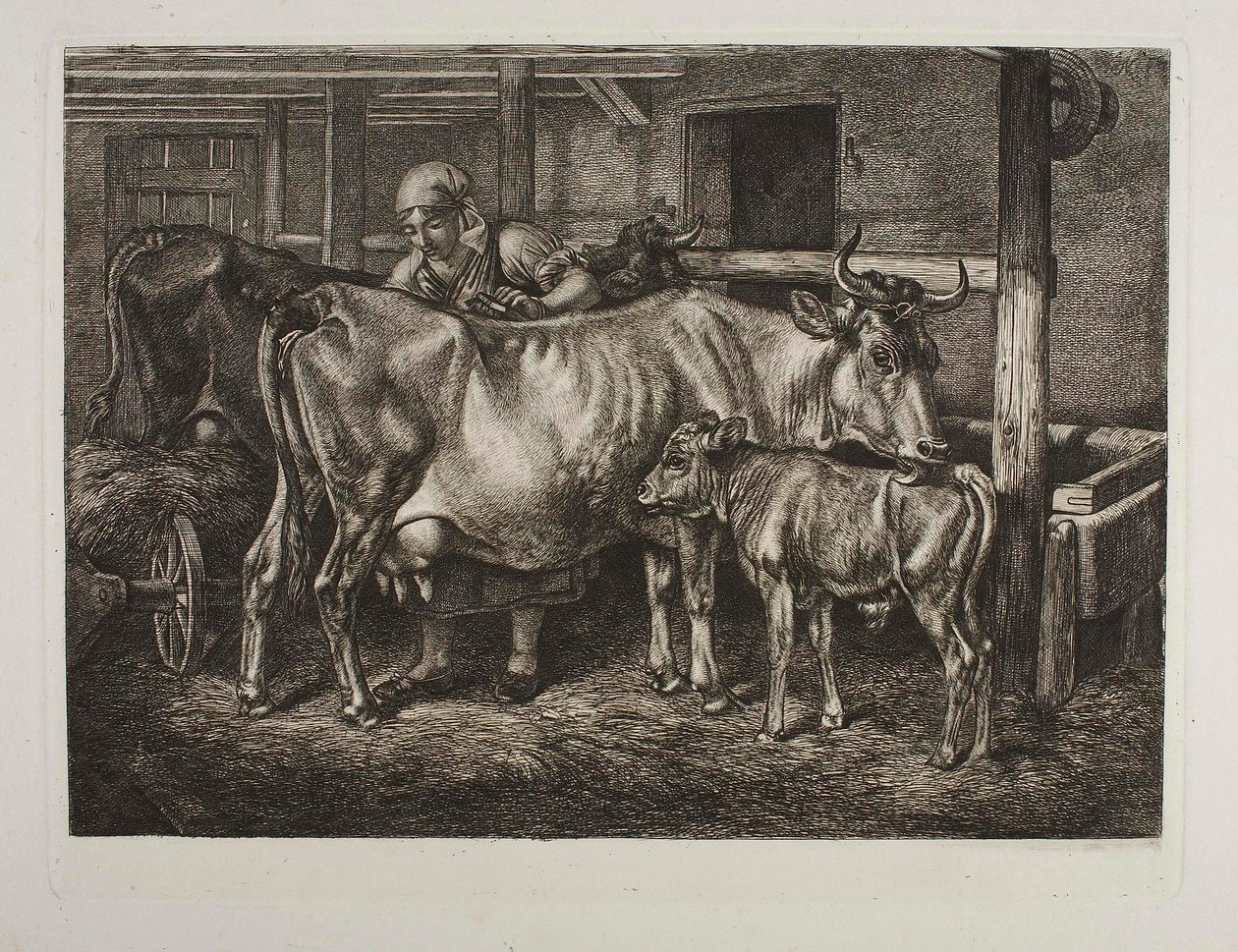 Česané krávy od Johann Adam Klein