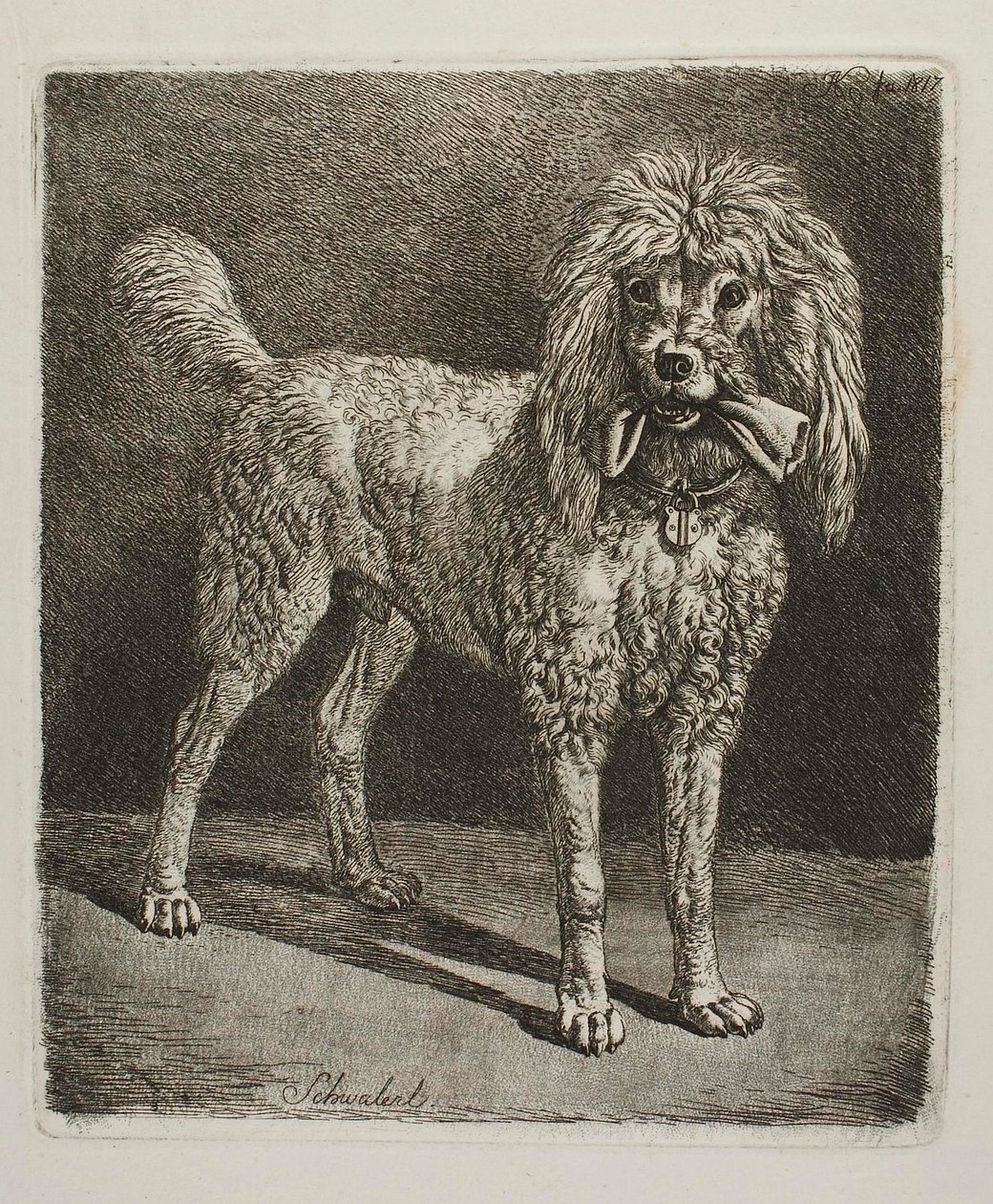 Pudl Schwalerl od Johann Adam Klein