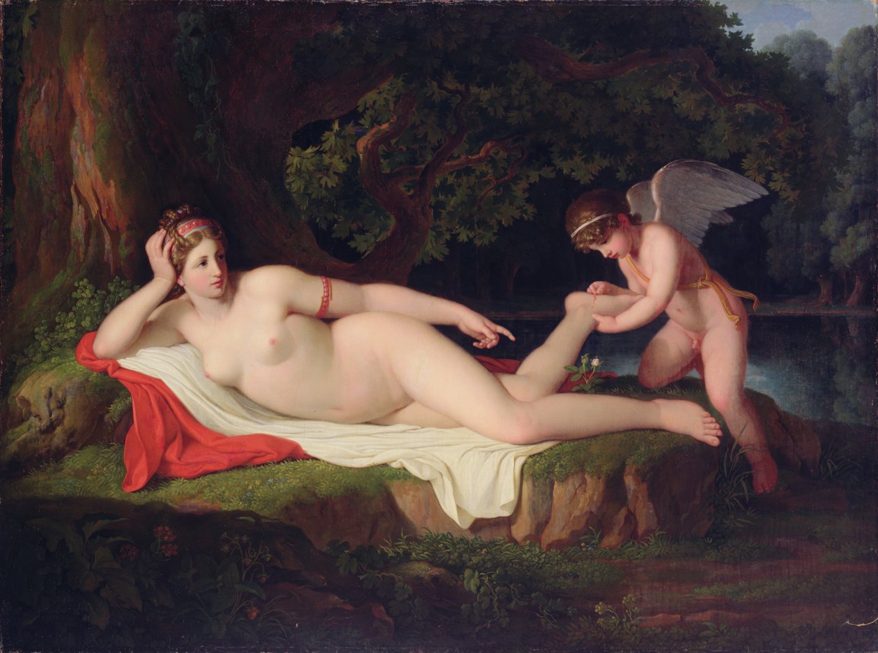 Původ červené růže od Johann August Nahl the Younger