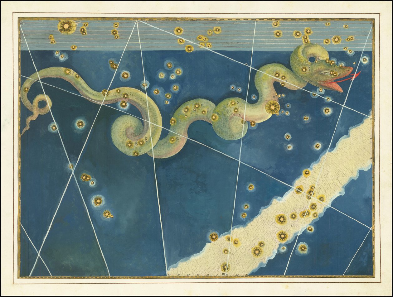 Hydra - Johann Bayer od Johann Bayer