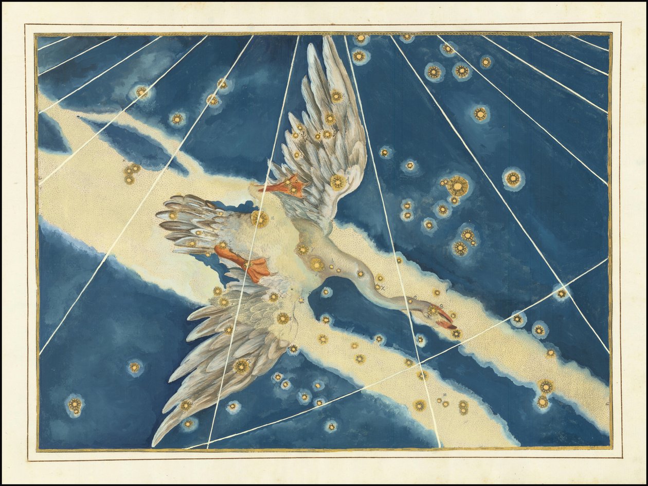 Johann Bayer - Cygnus od Johann Bayer