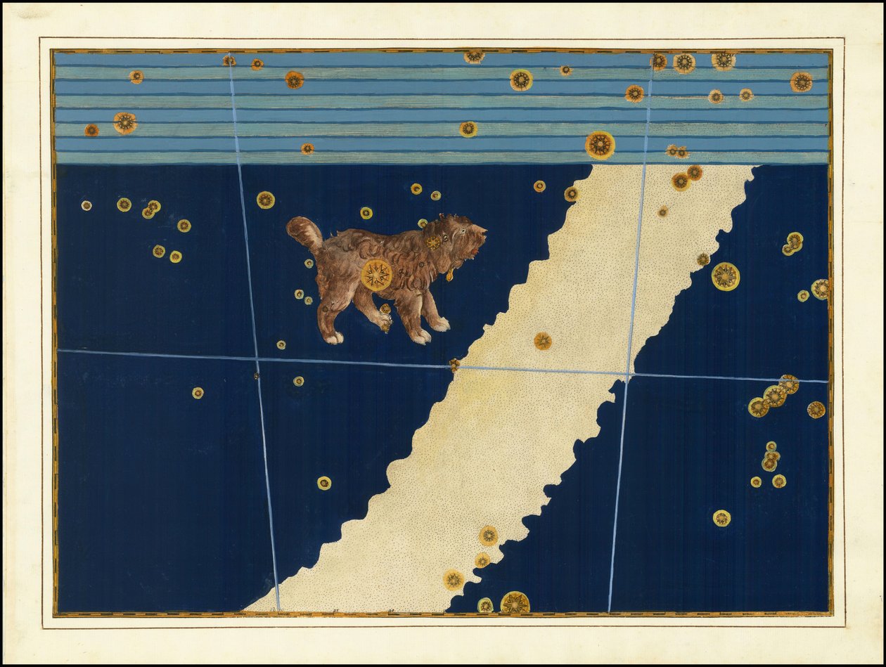 Johann Bayer, Canis Minor od Johann Bayer