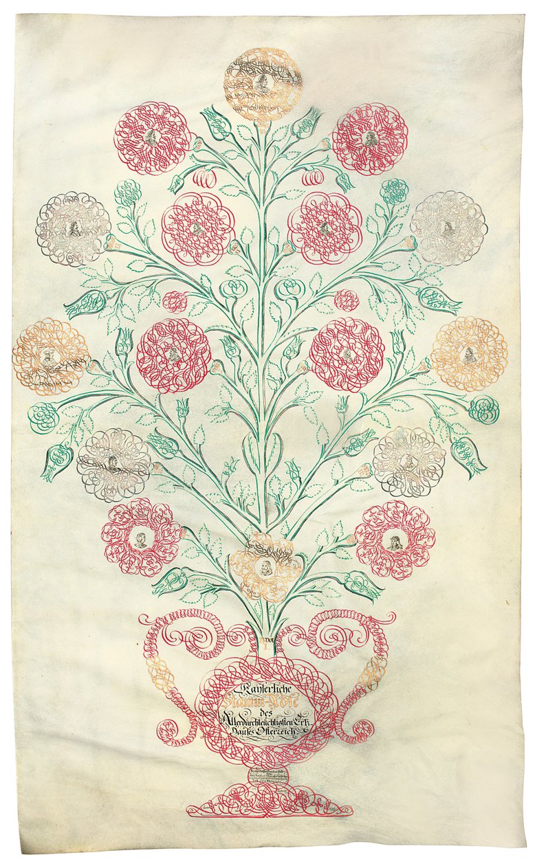 "Růže", rodokmen darovaný císaři Karlu VI, 1731 od Johann Carl Paricius
