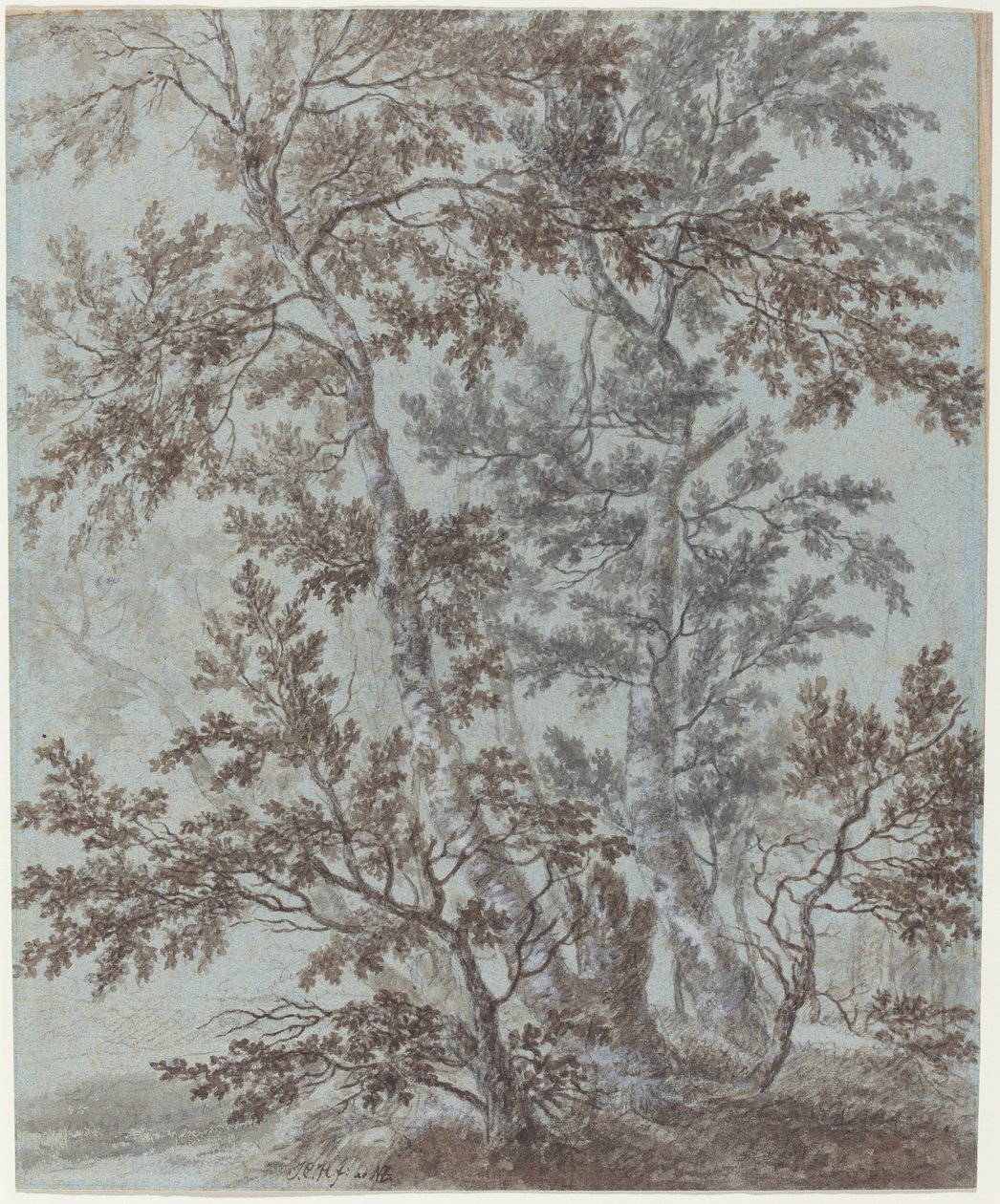Stojan Břízy od Johann Caspar Huber