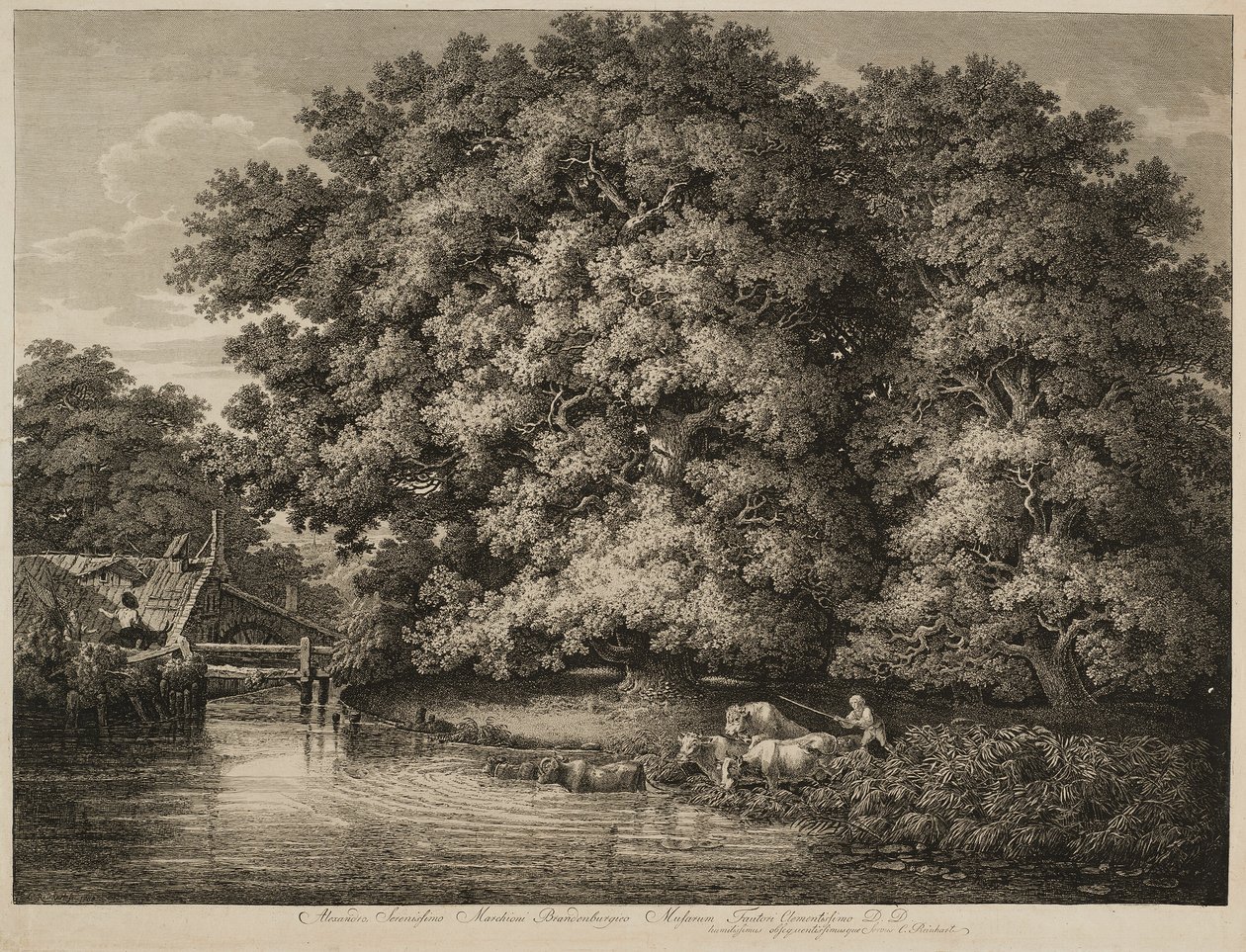 Farmář žene svůj dobytek do vody od Johann Christian Reinhart