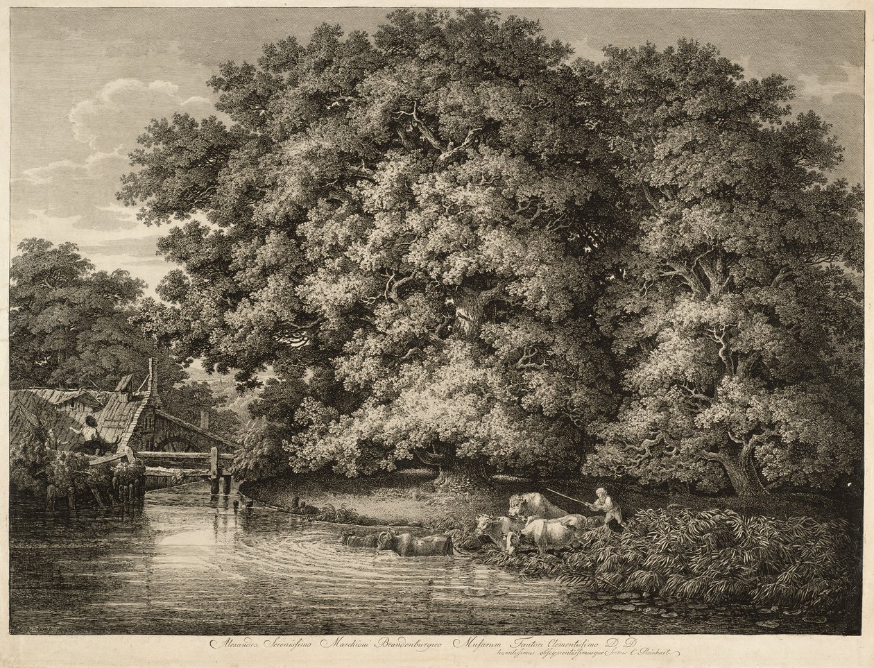 Farmář žene svůj dobytek do vody od Johann Christian Reinhart