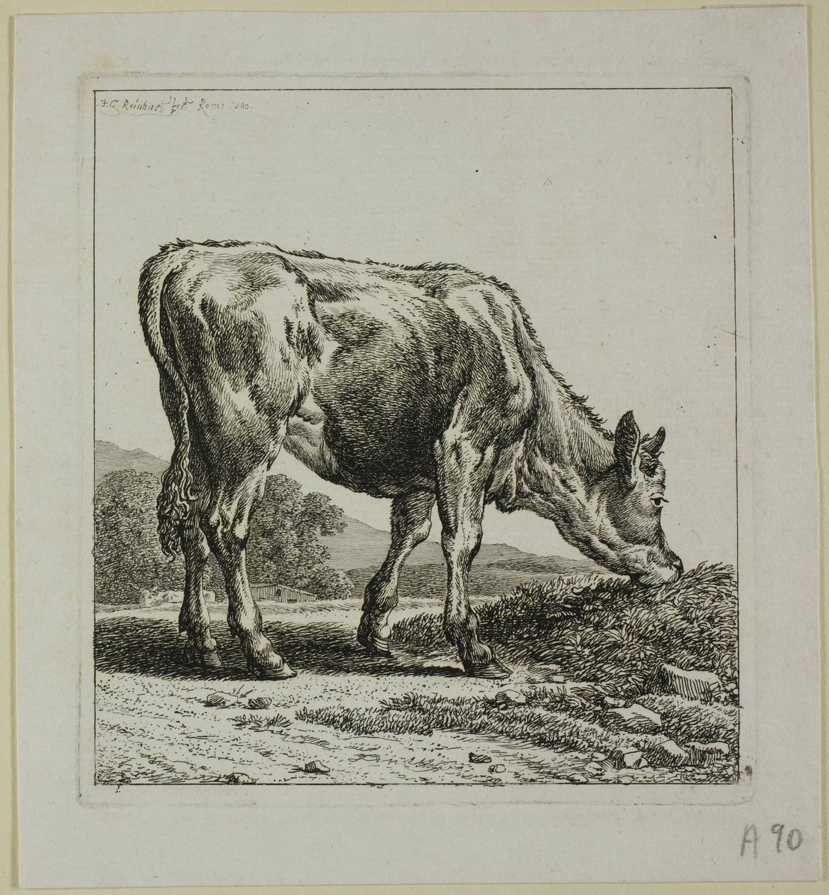 Krmení telat, od Die Zweite Thierfolge od Johann Christian Reinhart
