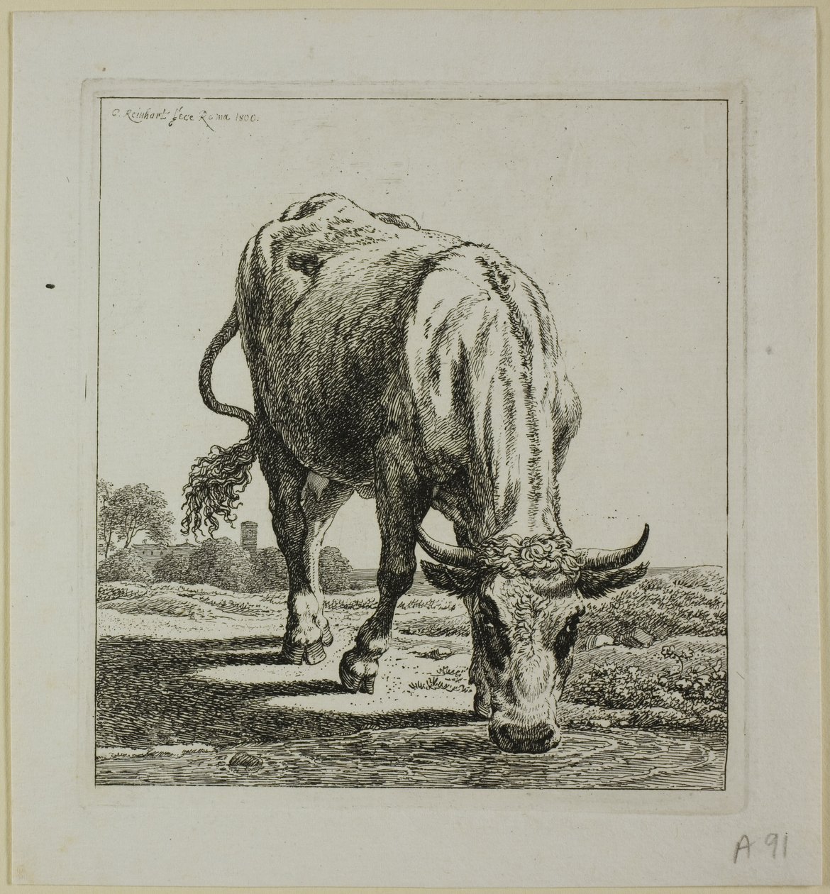 Pití krav, od Die Zweite Thiernahme od Johann Christian Reinhart