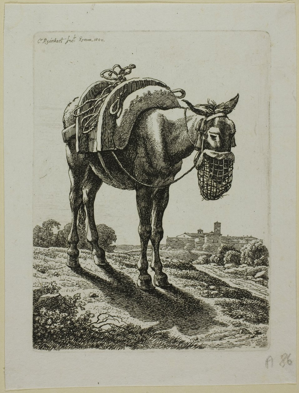 Feeding Mule - Front, z Druhé posloupnosti zlodějů od Johann Christian Reinhart