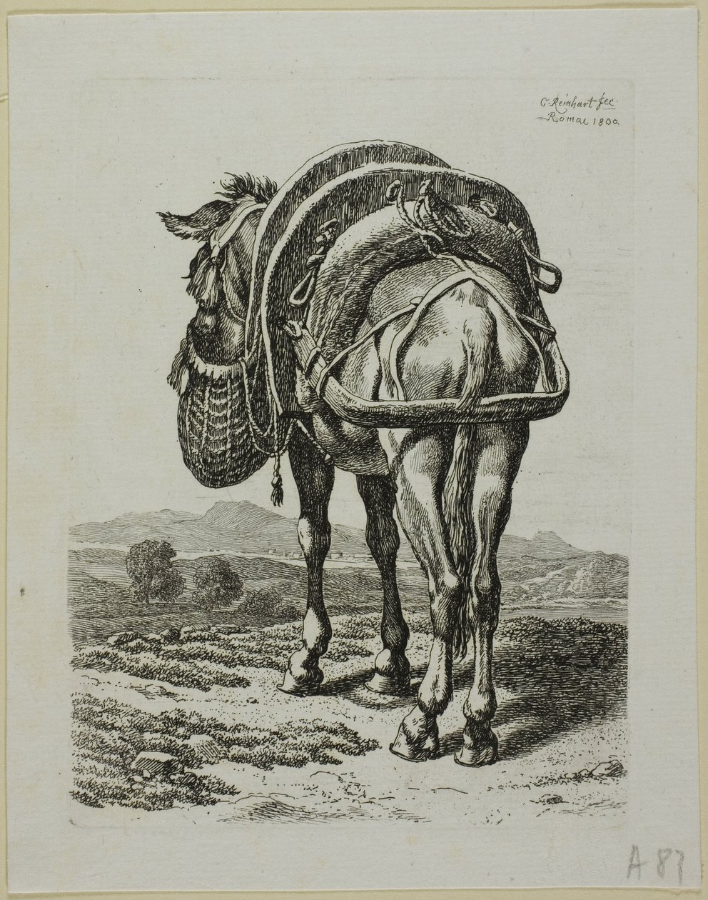 Feeding Mule - zadní, od Die Zweite Thier Folge od Johann Christian Reinhart