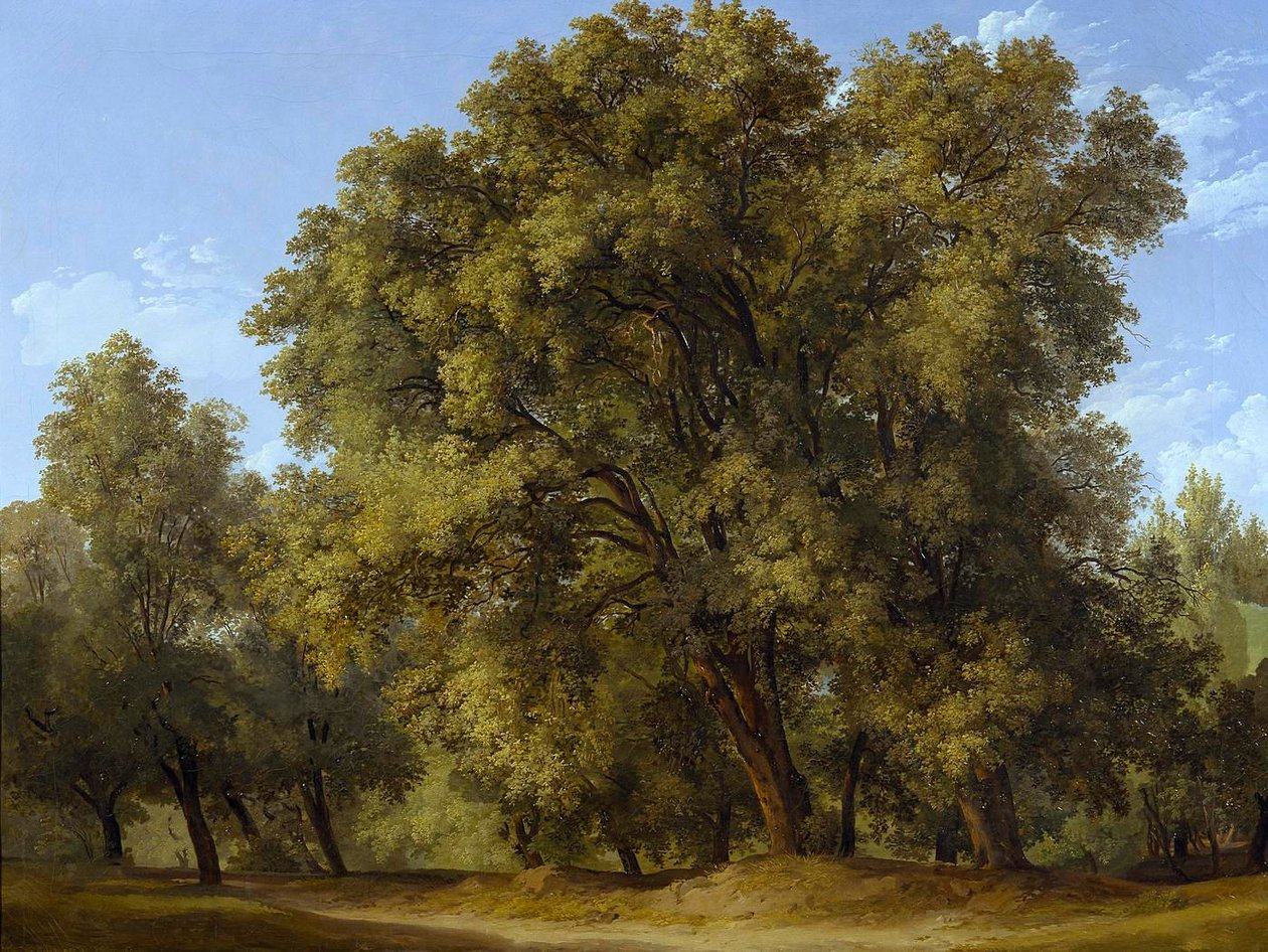 Lesní scéna od Johann Christian Reinhart