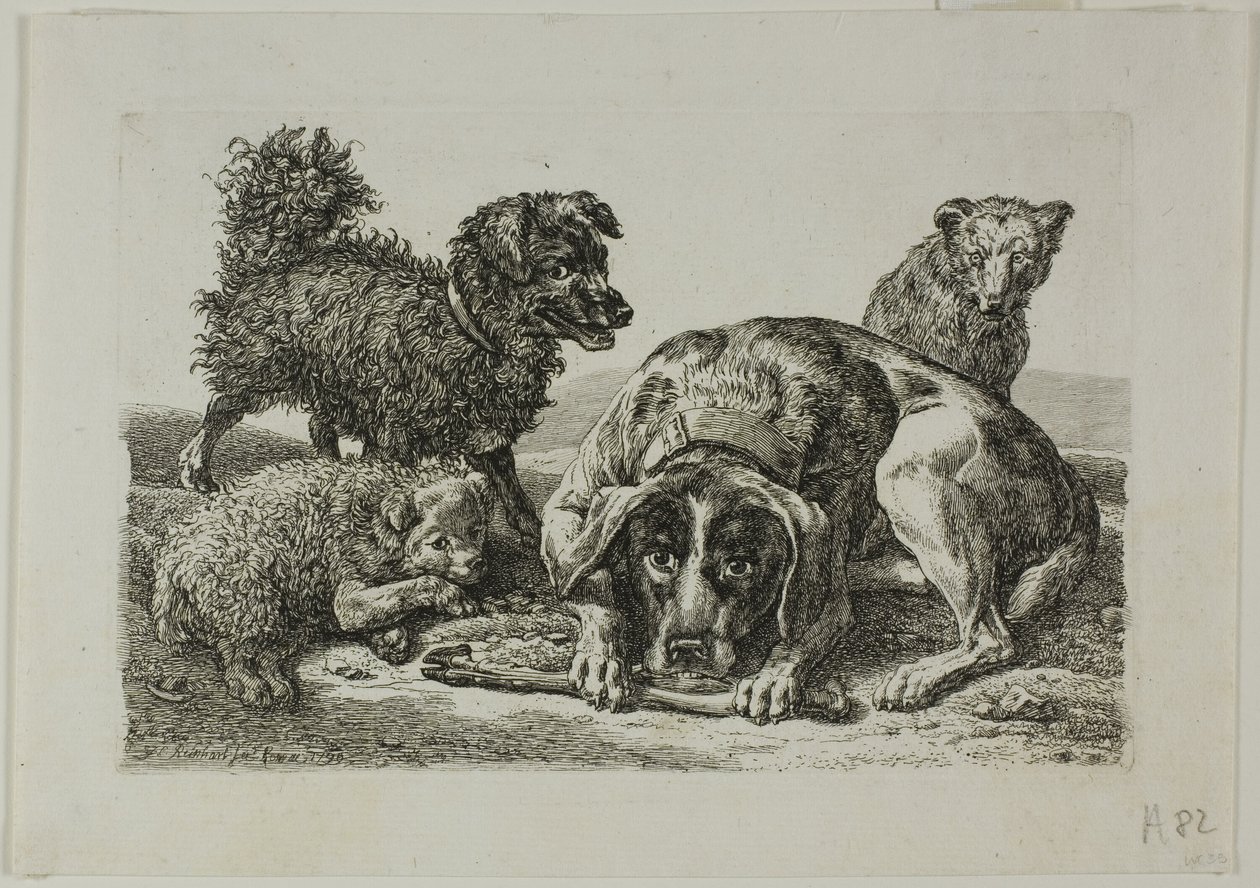 Čtyři psi, od Die Zweite Thier Folge od Johann Christian Reinhart