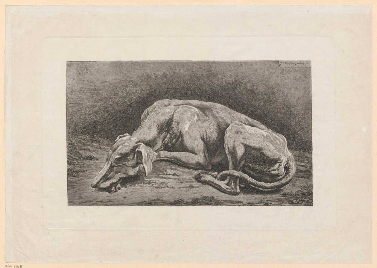 Spící chrt od Johann Christian Reinhart