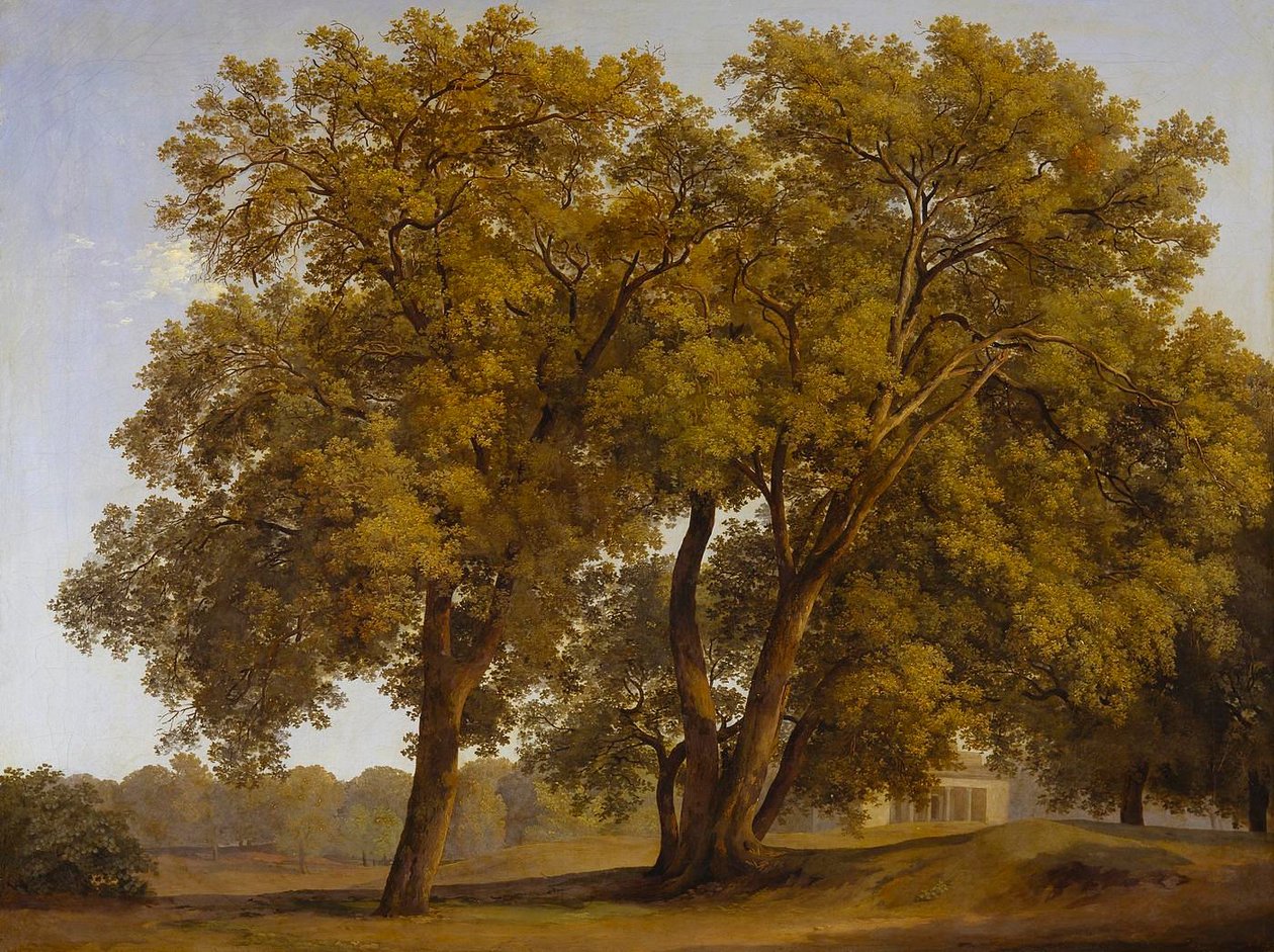 Stromy v zahradách Villa Borghese od Johann Christian Reinhart