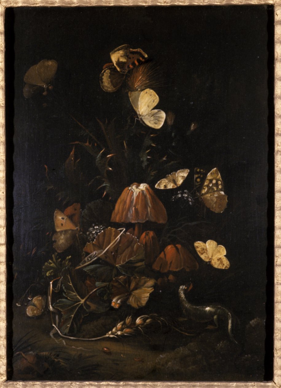 Květiny s motýly a ještěrkou (olej na dubovém dřevě) od Johann Christian Thomas Winck