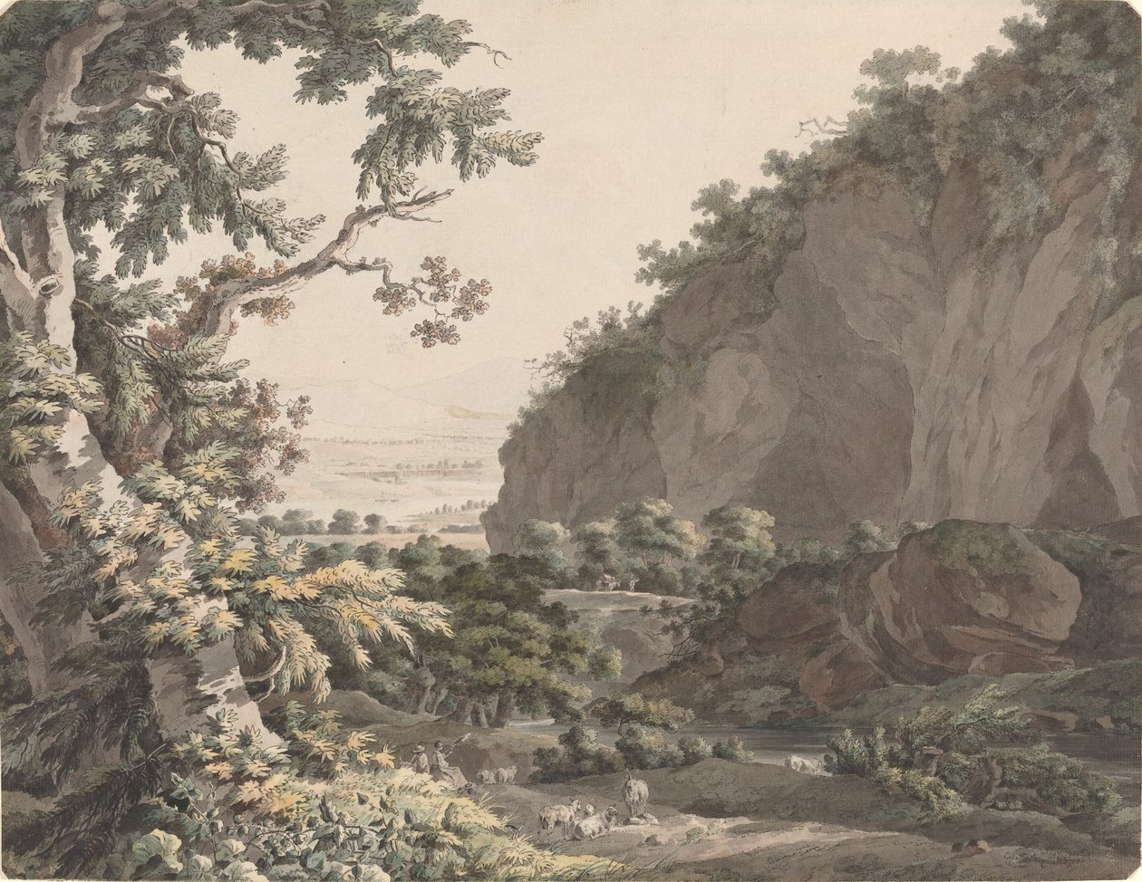 Zalesněné údolí se skalnatými útesy od Johann Conrad Steiner