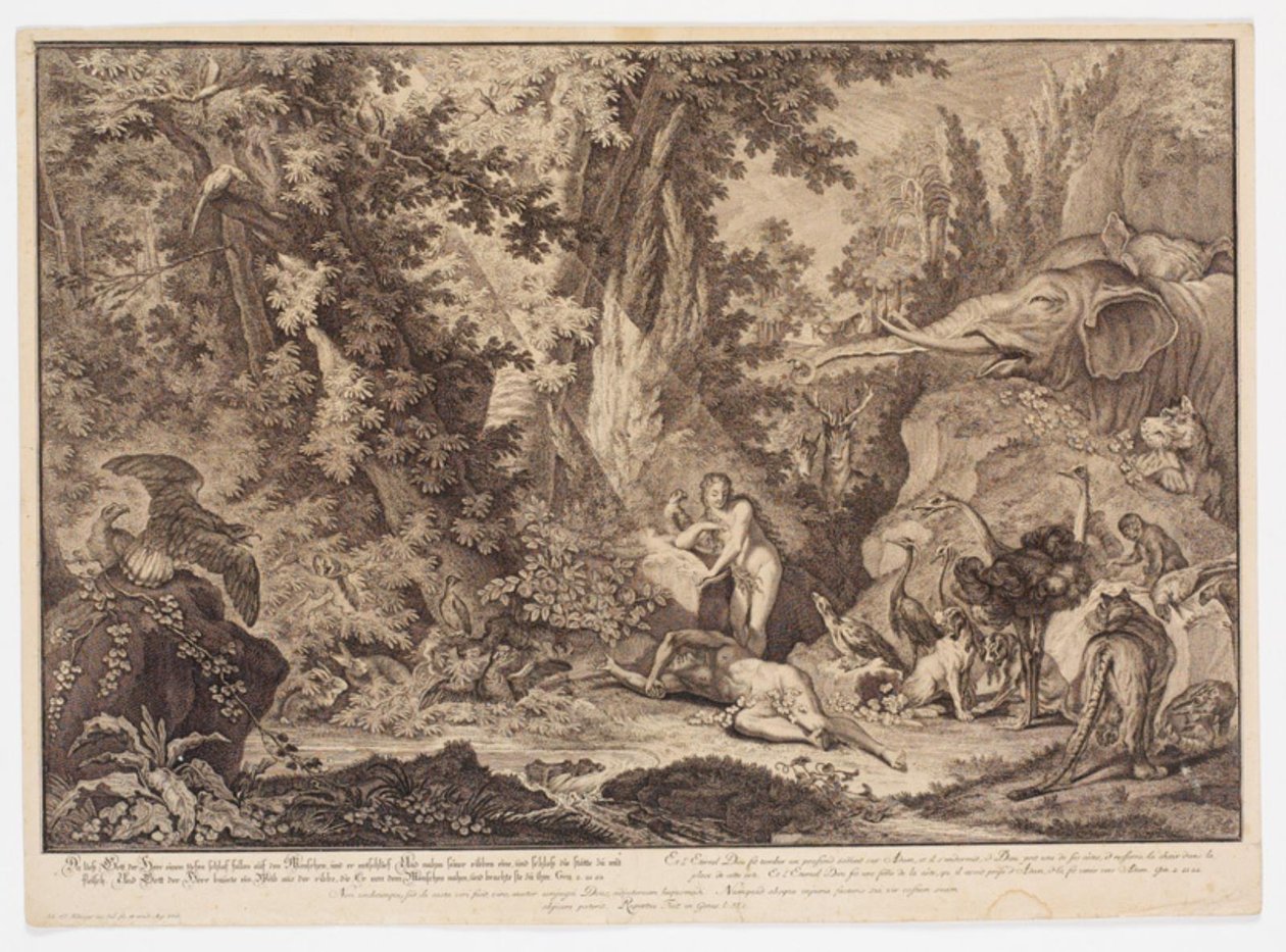 Evino stvoření od Johann Elias Ridinger